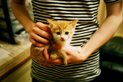 2026世界杯之夜,当拉文成为绿茵场上的绝对主宰,世界为他屏息