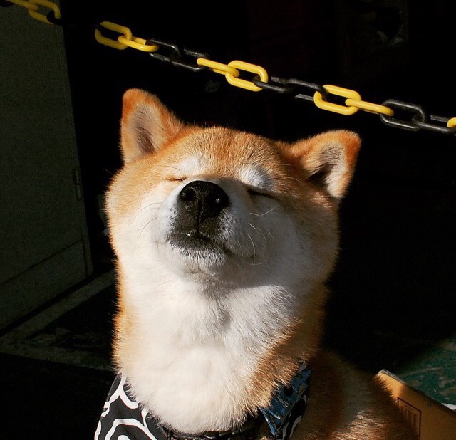 新西兰收割德国,皮克成为关键先生,一场颠覆预期的胜利如何炼成?