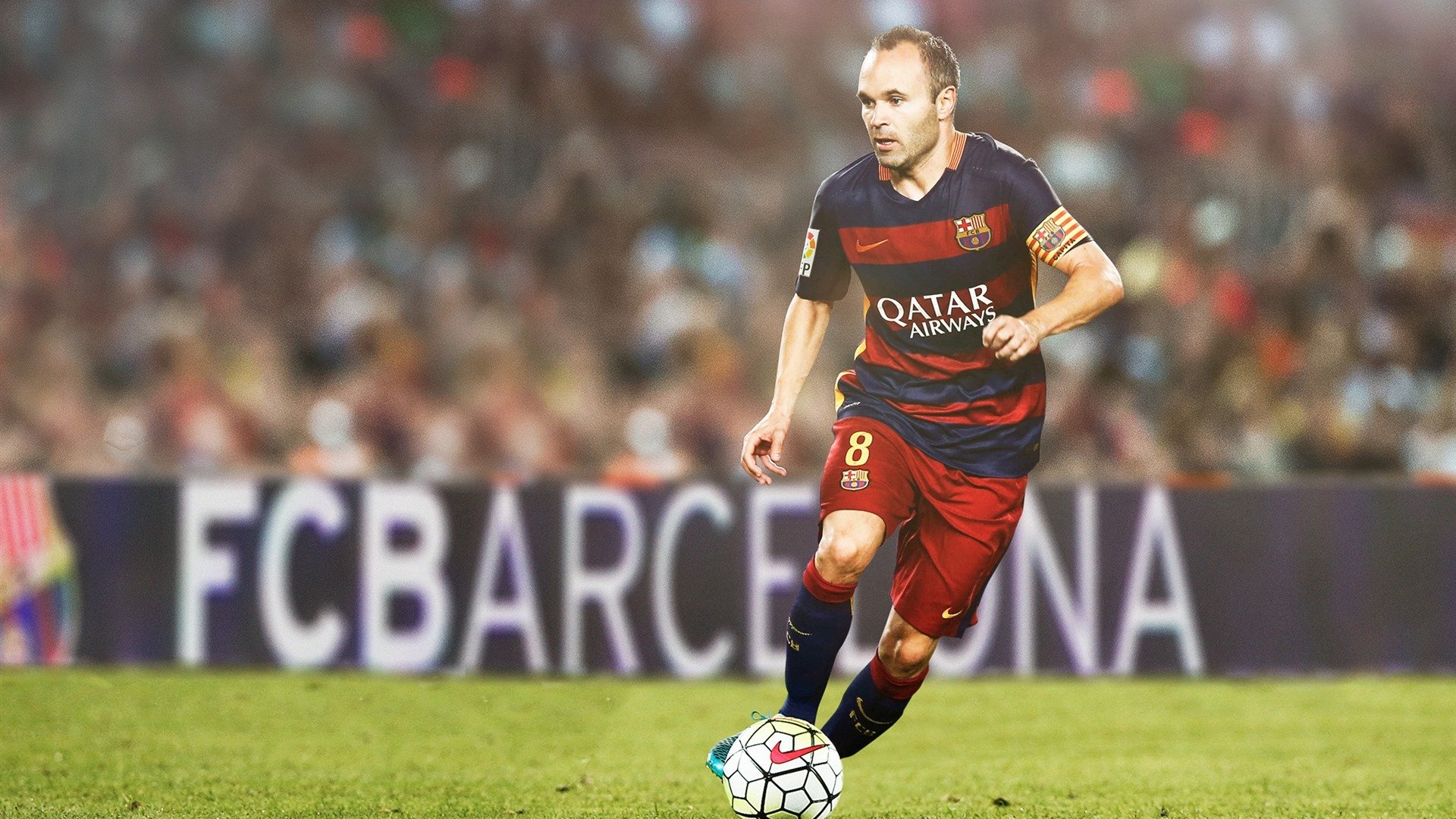 霍勒迪统治攻防！黄蜂力克猛龙，全场最佳毫无悬念